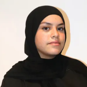 Baby-sitting expérimenté en banlieue parisienne Sud. 