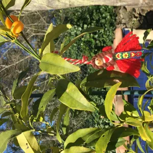 Poste pour un(e) aide ménagère à Montpellier