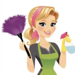 Nettoyage ménagers aide à la personne 