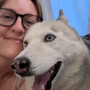 Pet-Sitter Tarn&Garonne Chien, Chats, Chevaux !