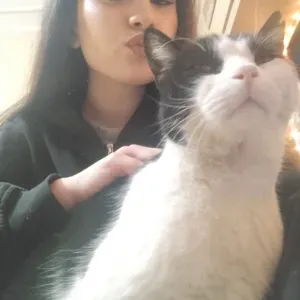 Pet Sitting a Trofarello. 