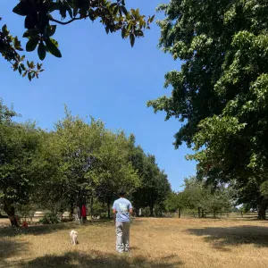 Garde d'un animal pendant les vacances en Mayenne (ou Vitré)