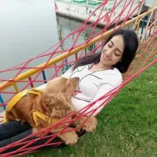pet sitter