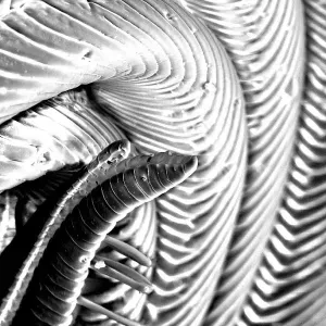 cuidador/a de personas mayores en Alcasser para duchadiaria 