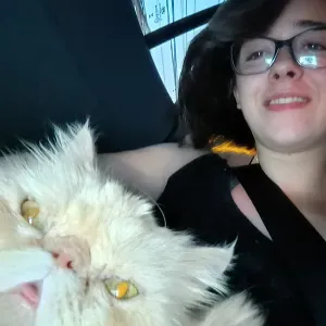 Pet sitting, passeio com cães e cuidado de animais em Porto