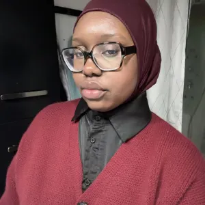 Baby-sitter sérieuse avec Bac ASSP et expérience