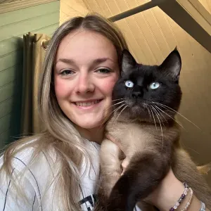 Baby-sitter expérimenté à saint Arnoult en Yvelines 