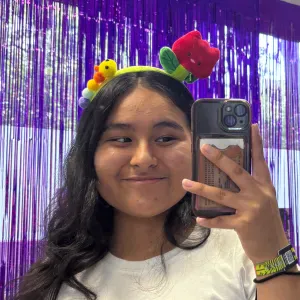 Canguro cerca Latina con experiencia