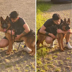 Dog sitting a Merate e zone limitrofe