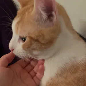 Votre babysitter de confiance à Lyon