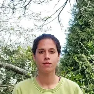 Tomo conta de cães