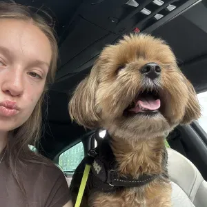 Pet-Sitter et dog-joggeuse sur Arras! 