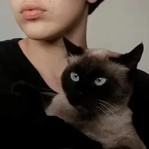 Pet-Sitter motivée sur Toulouse