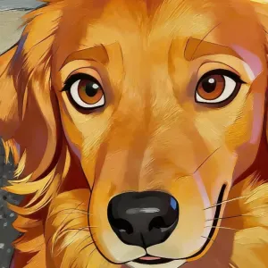 Asistente de limpieza por horas