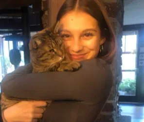 Pet-Sitter à Sorgues ! garde CHIEN et CHAT !