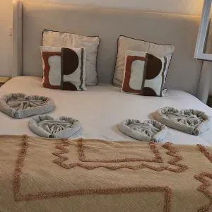 famme de ménage chez le particulier 