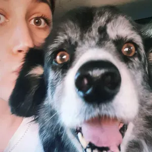 Pet-sitter à Maisons-Alfort - Paris et 94