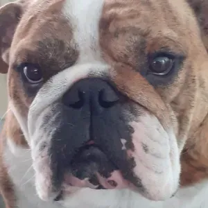 ménage 2 h par semaine