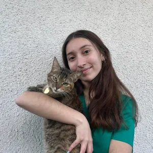 Pet sitting/ Passeios em Vila Real/Ovar