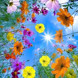 Recherche d'une assistante maternelle à partir de fin Mai