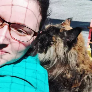 Garde d'animaux, promenade d'animaux 