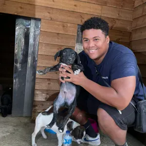 Posso cuidar de animais em lisboa