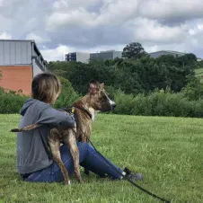 Tu peludo se sentirá seguro