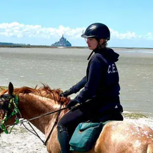 Pet sitter sérieuse et passionnée à Chelles