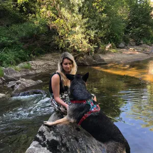 Gardiennage d'animaux, promenade, visite à domicile