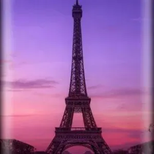 Garde d'animaux dans le 37 en semaine