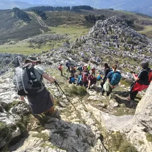 Puesto para cuidador de mascotas en Santander