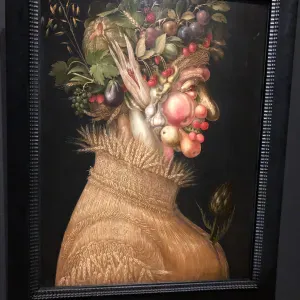 Poetshulp Airbnb Centrum Antwerpen