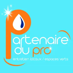 A la recherche d'une personne sachant très bien repasser 