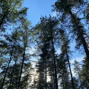 Recherche femme de ménage