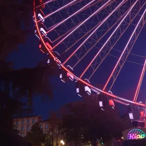 Babysitter napoli tuttofare con qualità pedagogiche