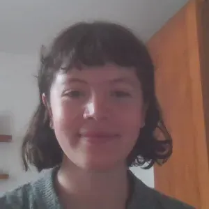 Experienced cleaner living in Paris