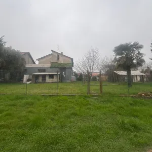 Pet Sitter in Famiglia lentate sul seveso 