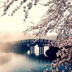 Offre d'emploi de nounou – garde d'enfants à Gaillard