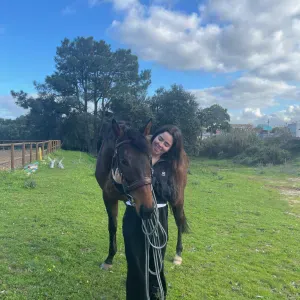 Pet sitting in Portugal almada