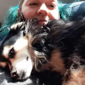 Pet sitting in beau Strasbourg 