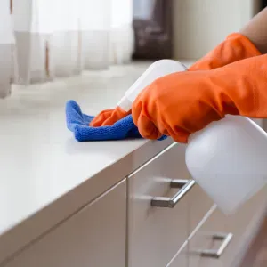 Se precisa servicio de limpieza en Vitoria. Semanal