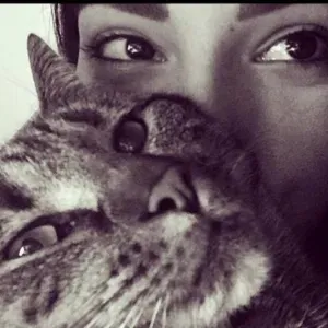 Recherche un pet-Sitter 