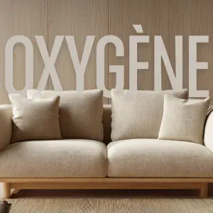 Aide-ménagère experte (8 ans d'exp.) Quimper