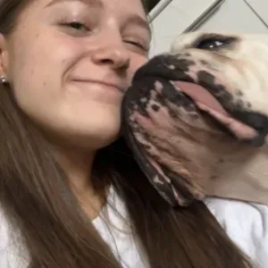 Pet sitting in Ebbw vale, dog lover!