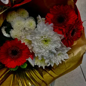 Baby-sitter expérimentée dans le 77