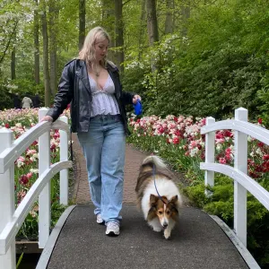 I would love to take care of your lovely pet.s ! 