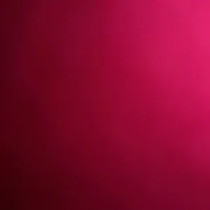 Dame de ménage entretien du logement aide a domicileesançon 