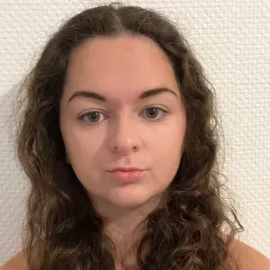 Baby-sitter secteur Quimper , Ploneour Lanvern…