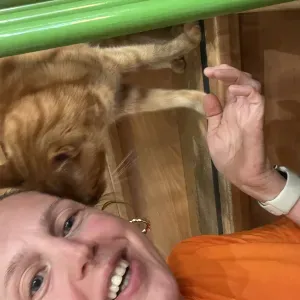 Aide ménagère pour personnes âgées et jeune maman  à Barr