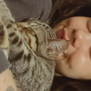 Disponible Lorient et alentours 